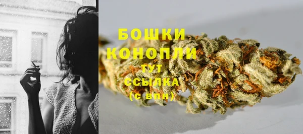 спиды Лагань