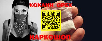 spice Кингисепп