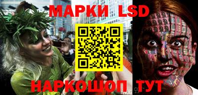 spice Кингисепп