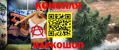 spice Кингисепп
