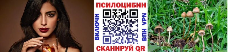 Псилоцибиновые грибы MAGIC MUSHROOMS  Людиново 