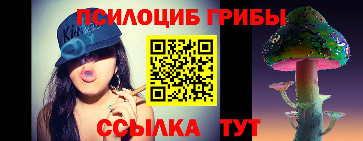 Галлюциногенные грибы мухоморы  Вход с VPN  Людиново  Галлюциногенные грибы Psilocybine cubensis 