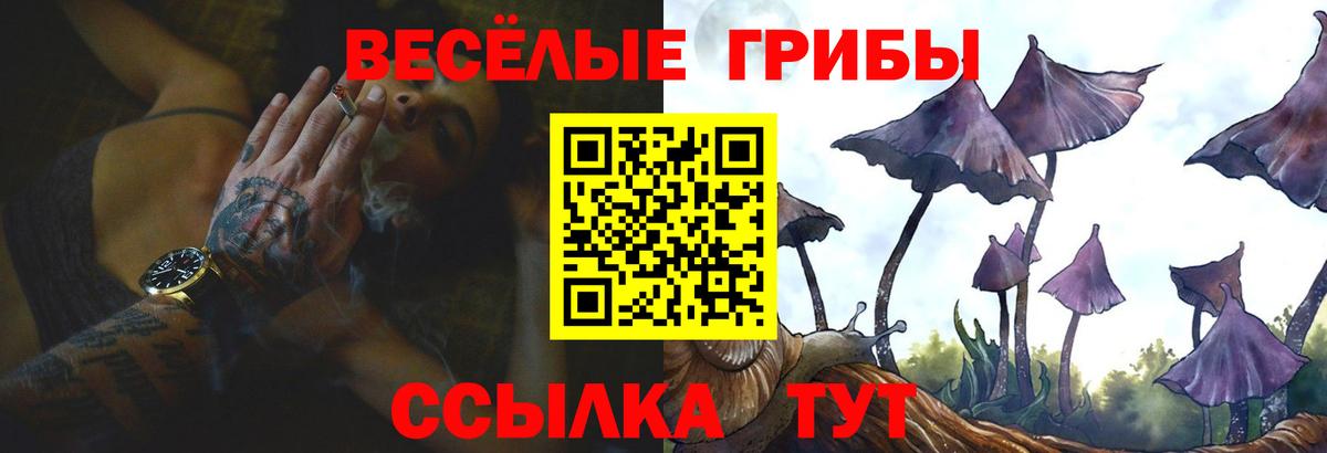 Галлюциногенные грибы Cubensis Людиново
